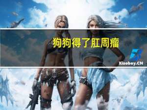 狗狗得了肛周瘤