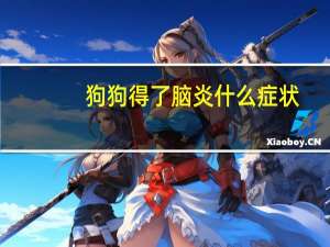 狗狗得了脑炎什么症状