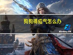 狗狗得疝气怎么办