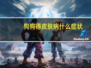 狗狗得皮肤病什么症状