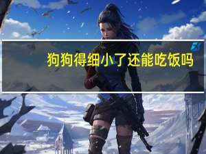 狗狗得细小了还能吃饭吗