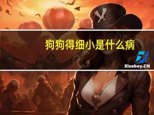 狗狗得细小是什么病