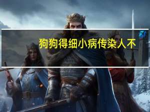 狗狗得细小病传染人不