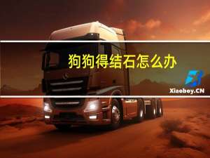 狗狗得结石怎么办