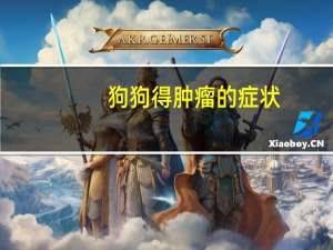 狗狗得肿瘤的症状