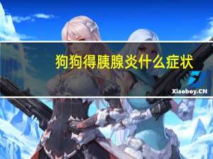 狗狗得胰腺炎什么症状