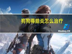 狗狗得脑炎怎么治疗