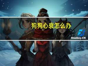 狗狗心衰怎么办