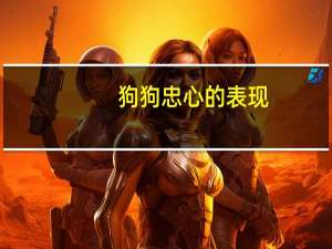 狗狗忠心的表现