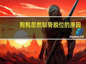 狗狗忽然髌骨脱位的原因