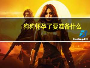 狗狗怀孕了要准备什么