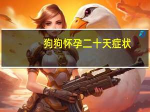 狗狗怀孕二十天症状