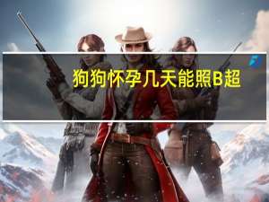 狗狗怀孕几天能照B超