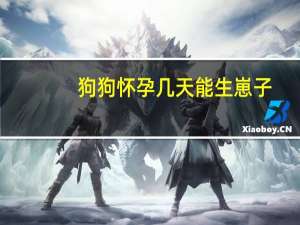 狗狗怀孕几天能生崽子