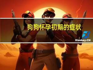 狗狗怀孕初期的症状
