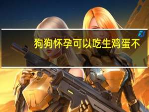 狗狗怀孕可以吃生鸡蛋不