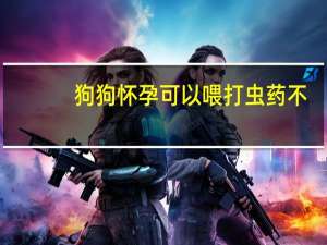 狗狗怀孕可以喂打虫药不