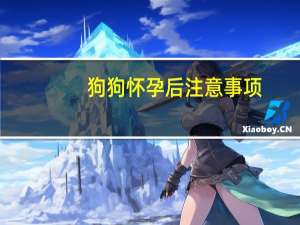 狗狗怀孕后注意事项