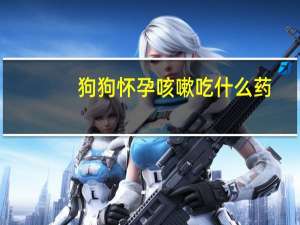 狗狗怀孕咳嗽吃什么药