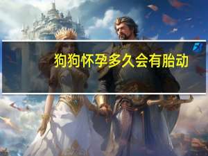 狗狗怀孕多久会有胎动