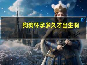 狗狗怀孕多久才出生啊