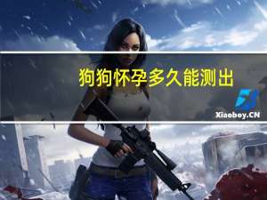 狗狗怀孕多久能测出