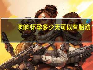 狗狗怀孕多少天可以有胎动