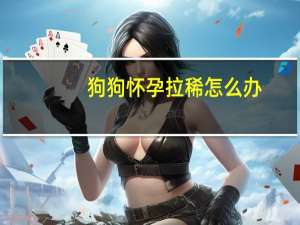 狗狗怀孕拉稀怎么办