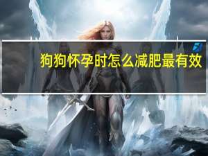 狗狗怀孕时怎么减肥最有效