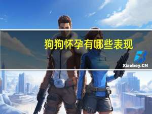 狗狗怀孕有哪些表现