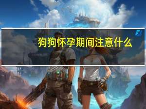 狗狗怀孕期间注意什么
