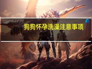 狗狗怀孕洗澡注意事项