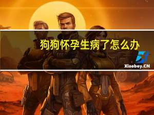 狗狗怀孕生病了怎么办