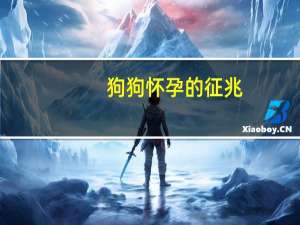 狗狗怀孕的征兆