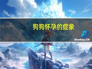 狗狗怀孕的症象