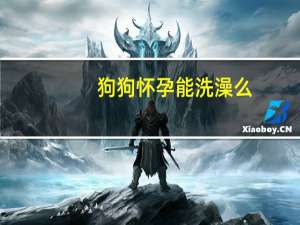 狗狗怀孕能洗澡么
