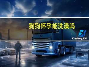 狗狗怀孕能洗澡吗