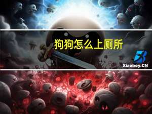 狗狗怎么上厕所