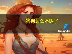 狗狗怎么不叫了
