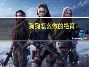 狗狗怎么做的绝育