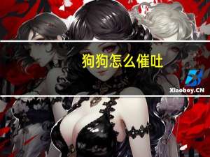 狗狗怎么催吐