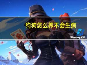 狗狗怎么养不会生病