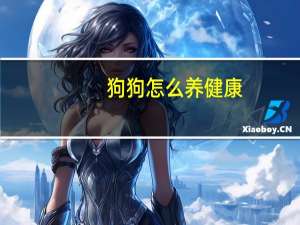 狗狗怎么养健康