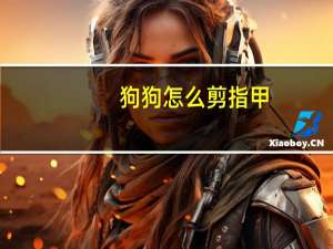 狗狗怎么剪指甲