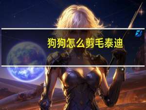 狗狗怎么剪毛泰迪