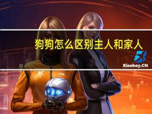 狗狗怎么区别主人和家人