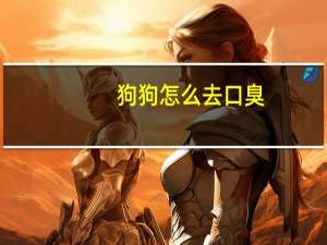 狗狗怎么去口臭
