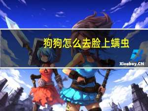 狗狗怎么去脸上螨虫