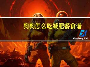 狗狗怎么吃减肥餐食谱