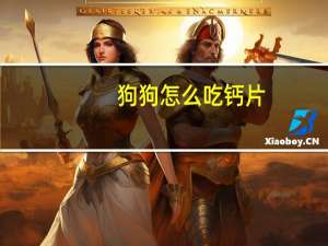 狗狗怎么吃钙片